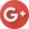 Google+ icon