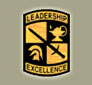 U.S. Army Cadet Command - Leadership/Excellence Insignia 