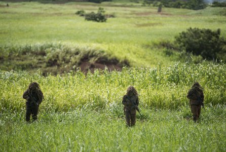 Soldiers from the 25th Infantry Division participate in festivities during a combat capability exercise, Oct. 6, 2016, for spectators during Tropic Lighting Week at Wheeler Army Air Field, Hawaii. This year's Tropic Lighting Week will commemorate the 75th anniversary of the 25th ID. It showcases the pride, history and future of the 25th ID to its soldiers, families, veterans and supporters.