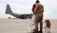 Photo: Marine Corps Cpl. Daniel G. Dillender, assigned to Marine Aerial Refueler Transport Squadron (VMGR) 352, Marine Aircraft Group 11, 3rd Marine Aircraft Wing (MAW), is reunited with his wife, Angelica Dillender, and their dog Bella at Marine Corps Air Station Miramar, San Diego, Calif., March 20, 2014. (U.S. Marine Corps photo by Sgt. Keonaona C. Paulo /Released)