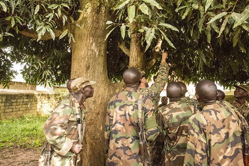 While teaching a counter-IED class, an Explosive Ordnance Disposal Technician points out a simulated IED hidden in a tree to soldiers with the Uganda People’s Defense Force (UPDF) in Camp Singo, Uganda, Nov. 4, 2014. EOD Technicians with SPMAGTF-Crisis Response-Africa are working alongside the UPDF, helping hone their skills in countering-improvised explosive devices during a logistics and engineering training engagement. (U.S. Marine Corps photo by Cpl. Shawn Valosin)