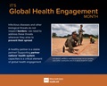 infographic for global health engagement