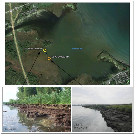 Figure 1	Recent erosion of Braddock Bay interior wetlands