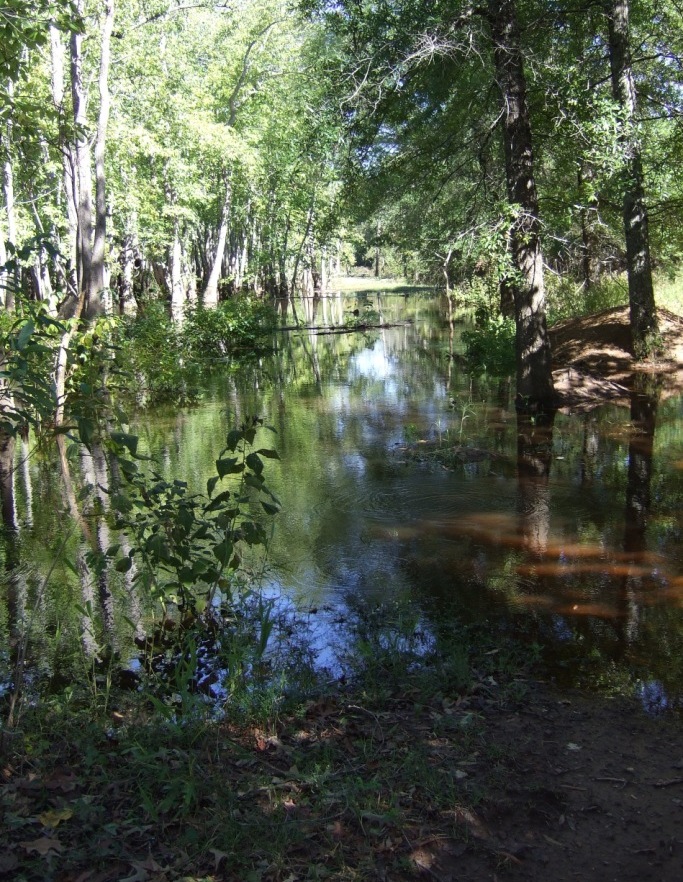 White Oak Bayou