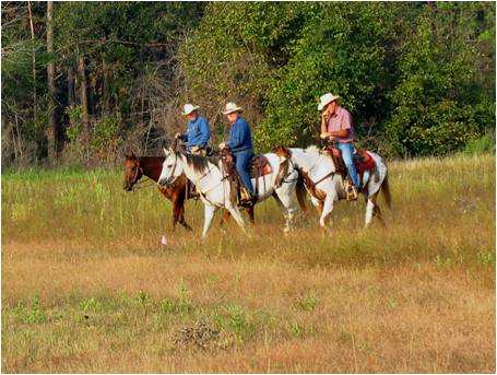 Trail Riders