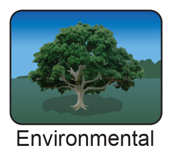 Environmental