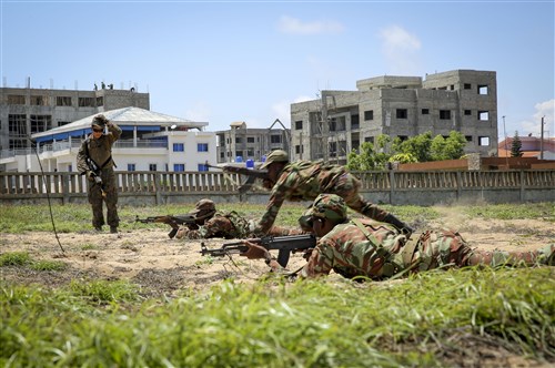 Benin soldiers practice bounding during a fire team management class October 9, 2013. Dozens of U.S. troops met with Benin Armed Forces to work on different tactical procedures in order to build on their maritime security capabilities. The group of Marines focused on different types of patrolling procedures, hand-to-hand combat techniques, and other combative skills. (Photo by Sgt. Marco Mancha)