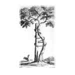 Artwork of a bent tree with brace.