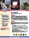 Image of the Financial Readiness Course Fact Sheet