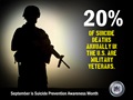 20% of Suicide Deaths Annually in the U.S. are Military Veterans
