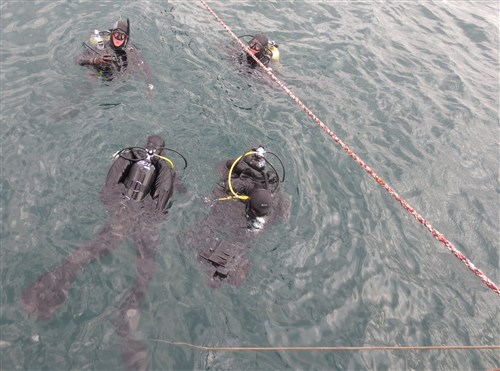 CONSTANTA, Romania (June 19, 2013) - A team of U.S. and Romanian Explosive Ordnance Disposal divers prepare to descend and practice hand held sonar searching techniques during Eurasia Partnership (EP) Dive 2013.  EP Dive, co-hosted by the Romanian and U.S. Navies, includes diving teams from Azerbaijan, Bulgaria, Georgia, Romania, Ukraine and the United States. EP Dive, aims to help increase diving interoperability, standardization of procedures and equipment familiarity. (U.S. Navy photo/Released)