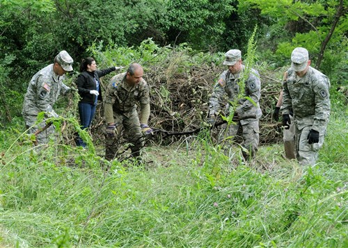 U.S. and Bosnian-Herzegovinian military members clear brush and overgrown vegetation at the Hutovo Blato National Forest here May 27, 2012. More than 150 Bosnian-Herzegovinian military and firefighters and U.S. service members worked together at the national forest to clean up damage caused by a fire in 2011. The goal of the event was to build camaraderie between the partnered nations before beginning Shared Resilience 2012, an annual U.S. Joint Chiefs of Staff-sponsored exercise May 28 - June 8.