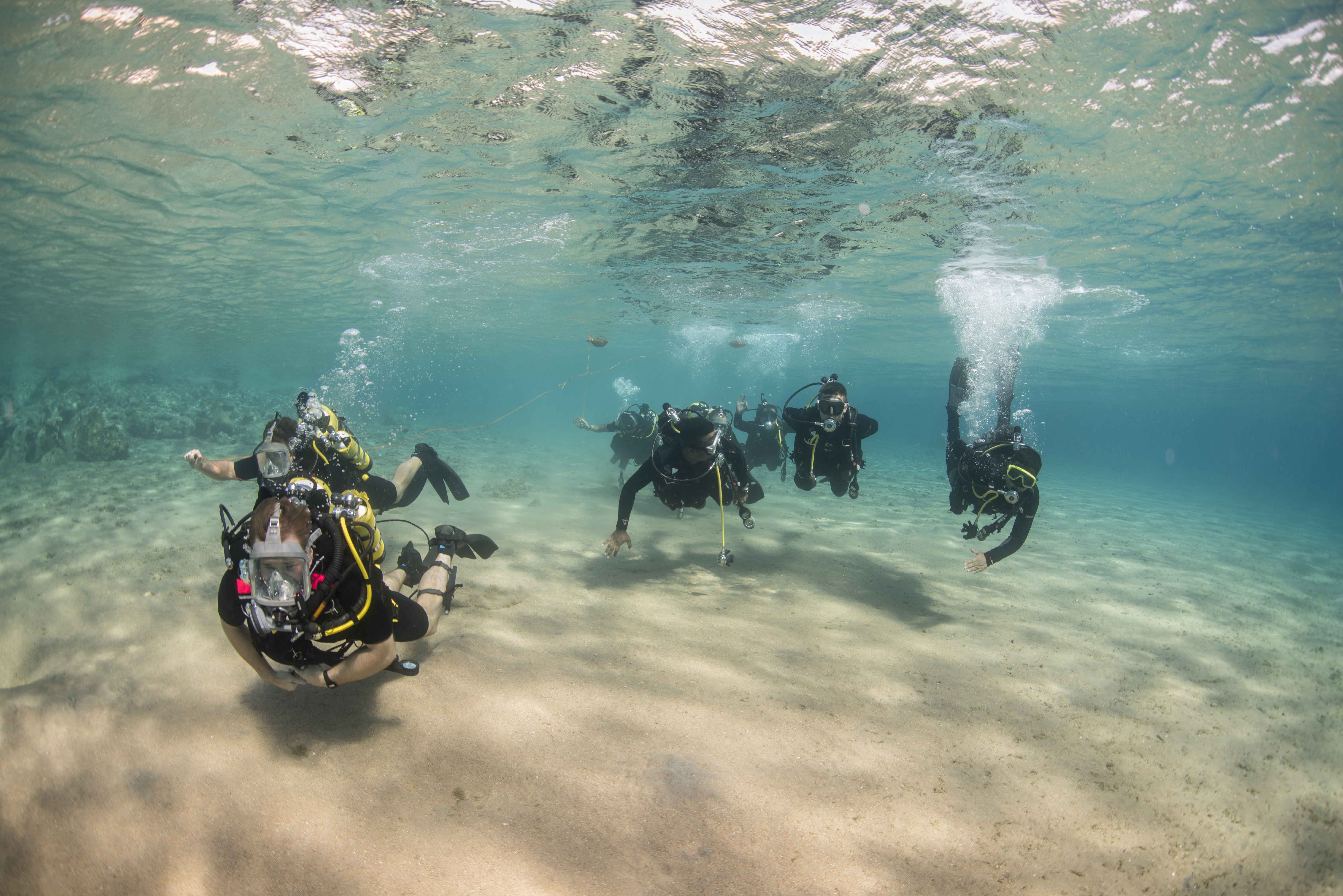 GULF OF AQABA, Jordan (Oct. 29, 2014) Clearance divers from Fleet Diving Unit 3, assigned to Task Group 523.3, and divers from the Royal Naval Force of Jordan, conduct a search dive while participating in International Mine Countermeasures Exercise (IMCMEX).  U.S. Navy photo by Mass Communication Specialist 3rd Class Daniel Rolston.