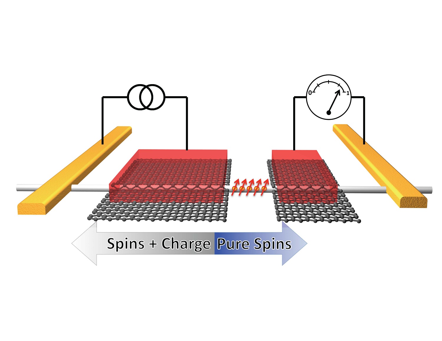 Schematic of the four terminal nanowire device in the non-local spin valve geometry. A spin-polarized charge current is injected at the left red NiFe/graphene ferromagnetic contact, generating a pure spin current that flows to the right within the silicon nanowire. This spin current generates a voltage that is detected on the right ferromagnetic contact. Photo: U.S. Naval Research Laboratory