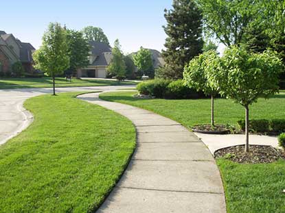Streets & Sidewalks - a paved path through a residential area