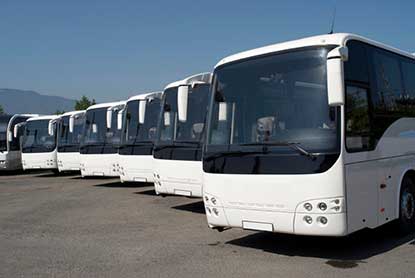 Transportation - a fleet of buses