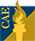 Center for Audit Excellence Logo