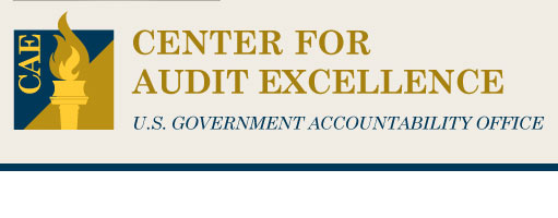 Center for Audit Excellence Banner