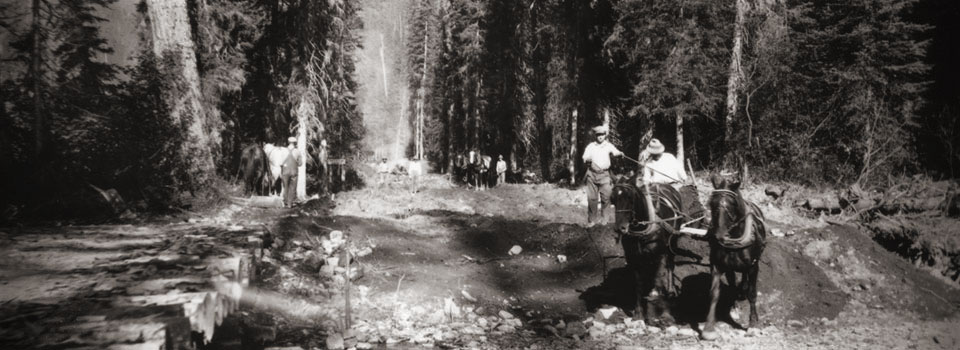 Clearing and grading, Glacier National Park, Montana, 1925.