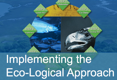 Implementing the Eco-Logical Approach