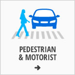 Pedestrian and Motorist
