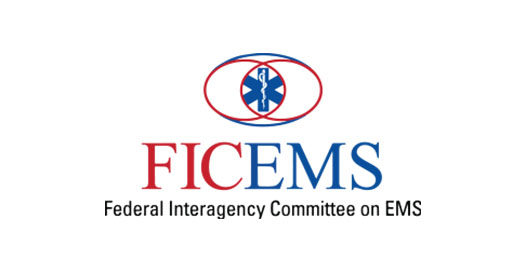 FICEMS logo