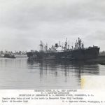 Brunswick River Ship Sanctuary - predecessor of the Wilmington Reserve Fleet, 1946.