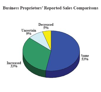 Pie chart of business proprietors' reported sales comparisons: 5 percent claim decreased sales, 9 percent were uncertain, 33 percent claim increased sales, and 53 percent reported the same sales after the implementation of access management mechanisms.