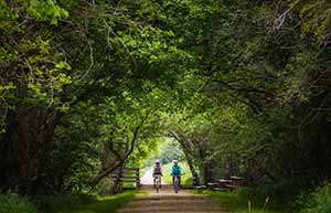 Bike Trails