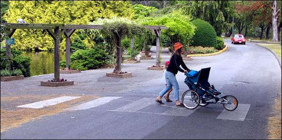 Photo. Image of a woman pushing a stroller in a crosswalk near a park.