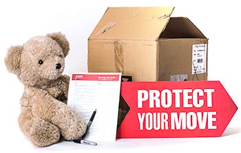 Protect your move bear and moving checklist