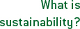 What is sustainability?