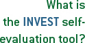 What is the INVEST self-evaluation tool?