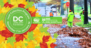 Leaf Collection Banner 2016-2017