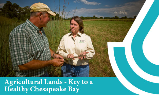 Chesapeake Homepage photo
