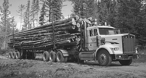 Picture of truck hauling a cargo of logs