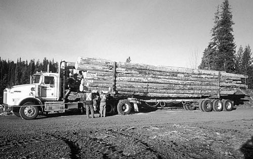 Picture of a truck with a cargo of logs.