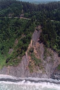 Photograph of a mountainous area along a coast with a roadway trespassing through the trees at a high elevation along the coast.