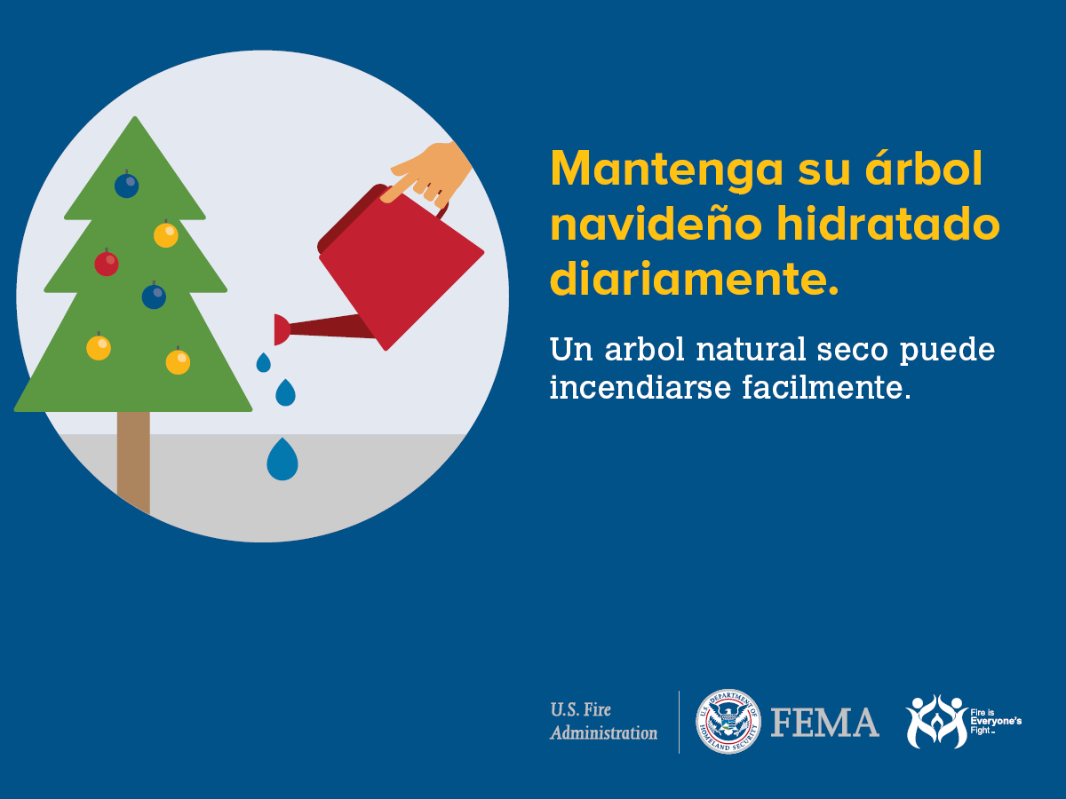 safety tips for watering your Christmas tree Spanish