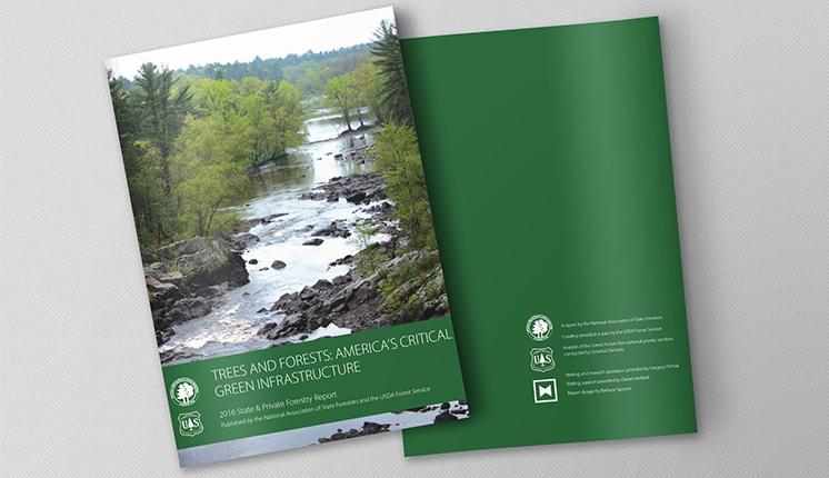 2016 State and Private Forestry Report