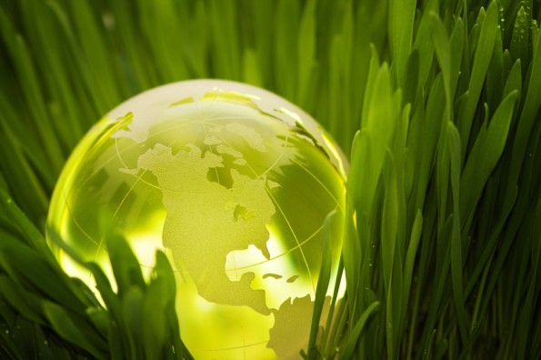 Glowing globe in grass