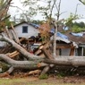 Disaster zone with fallen tree.