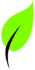 Green leaf icon