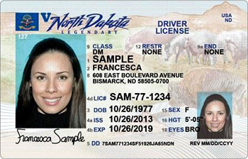 driverslicense