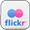 Flickr Icon