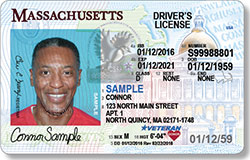 New Driver's License