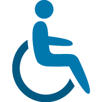Discapacidades o Necesidades Funcionales y de Acceso