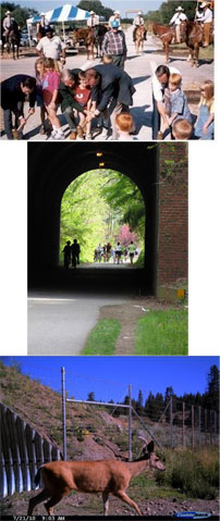 A series of 3 photos. Left to right; the first photo is of a group of people attending opening day and dedication of the Lake Mineral Wells State Park and Trailway in Texas. The second is of an underpass on a trail, the 3rd is of a deer exiting an road underpass.