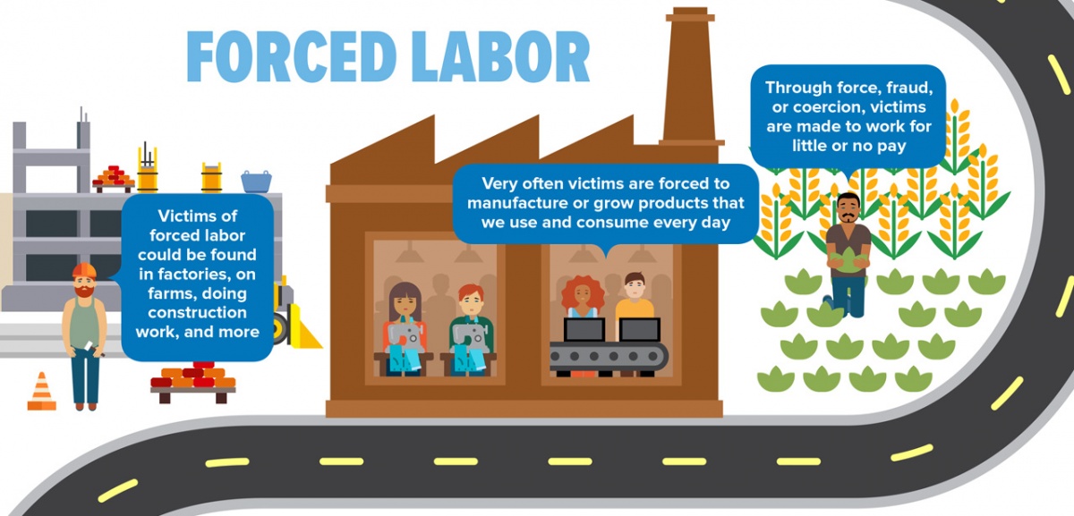Forced Labor.  Victims of forced labor could be found in factories, or farms, doing construction work, and more.  Very often victims are forced to manufacture or grow products that we use and consume every day.  Through force, fraud, or coercion, victims are made to work for little or no pay.