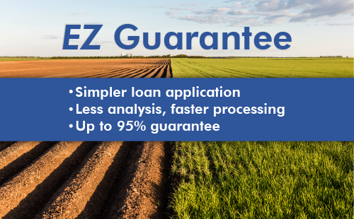 Lenders may request EZ Guarantees on applicatins.
